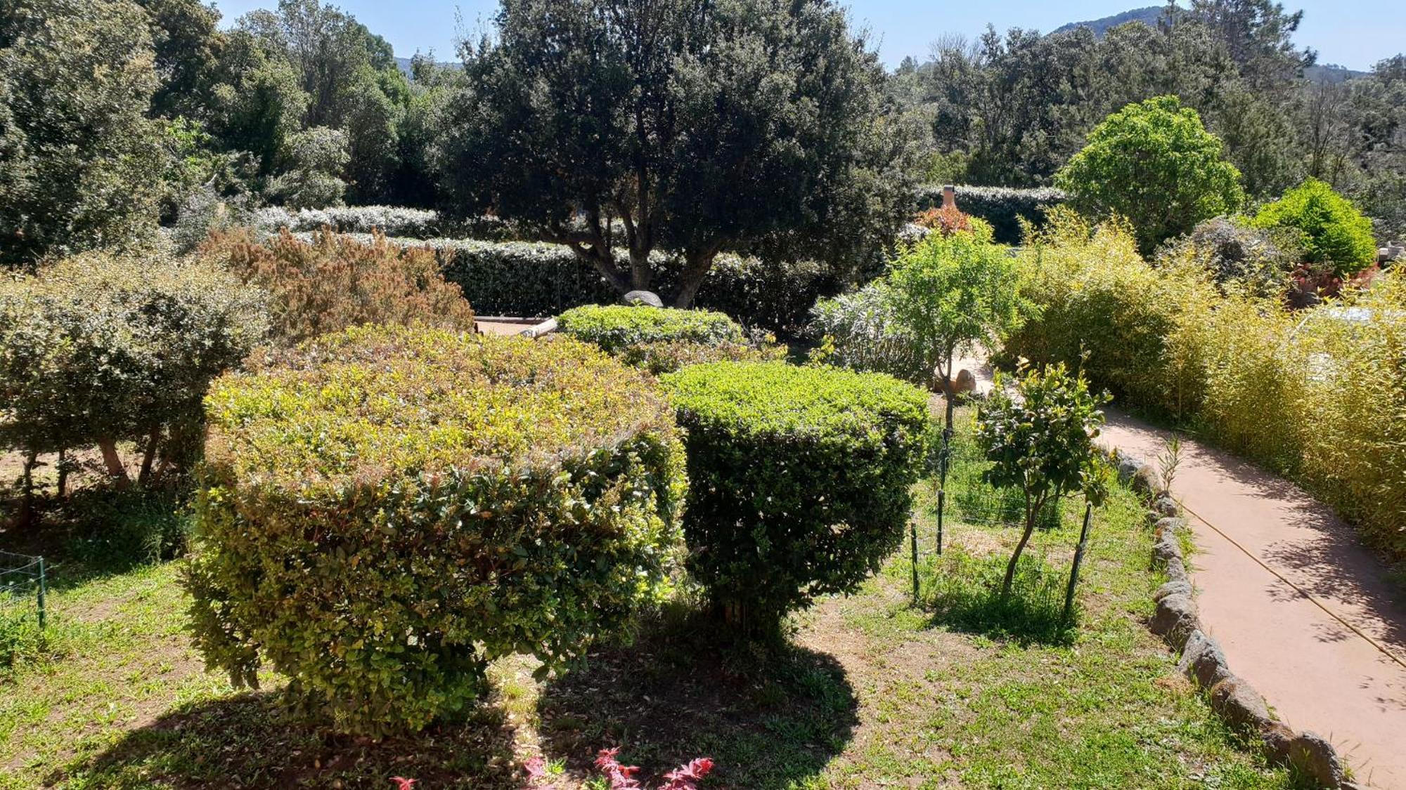 A Vigna Vecchia Chambre D'Hotes Bed and Breakfast Porto Vecchio Esterno foto